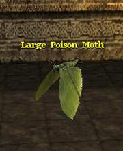 Large Poison Moth